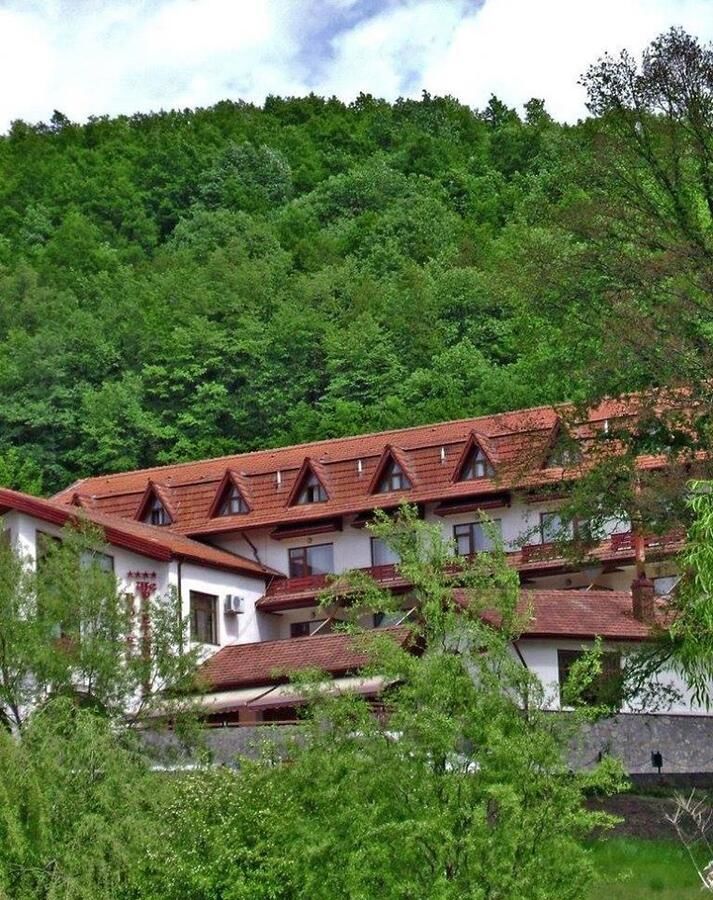 Курортные отели Hotel McPietroasa Haleş-4