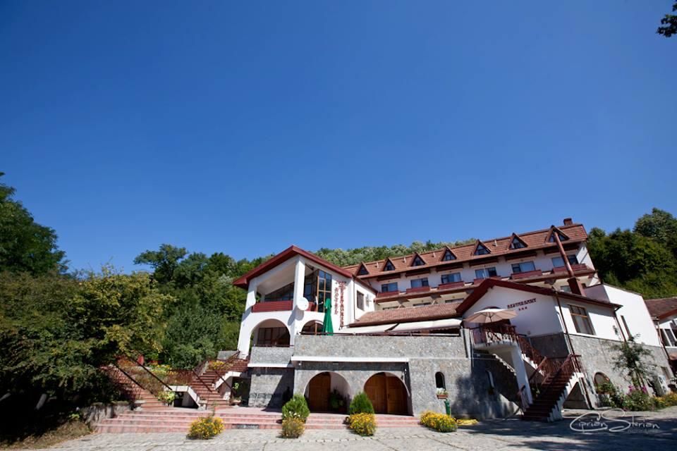 Курортные отели Hotel McPietroasa Haleş-11